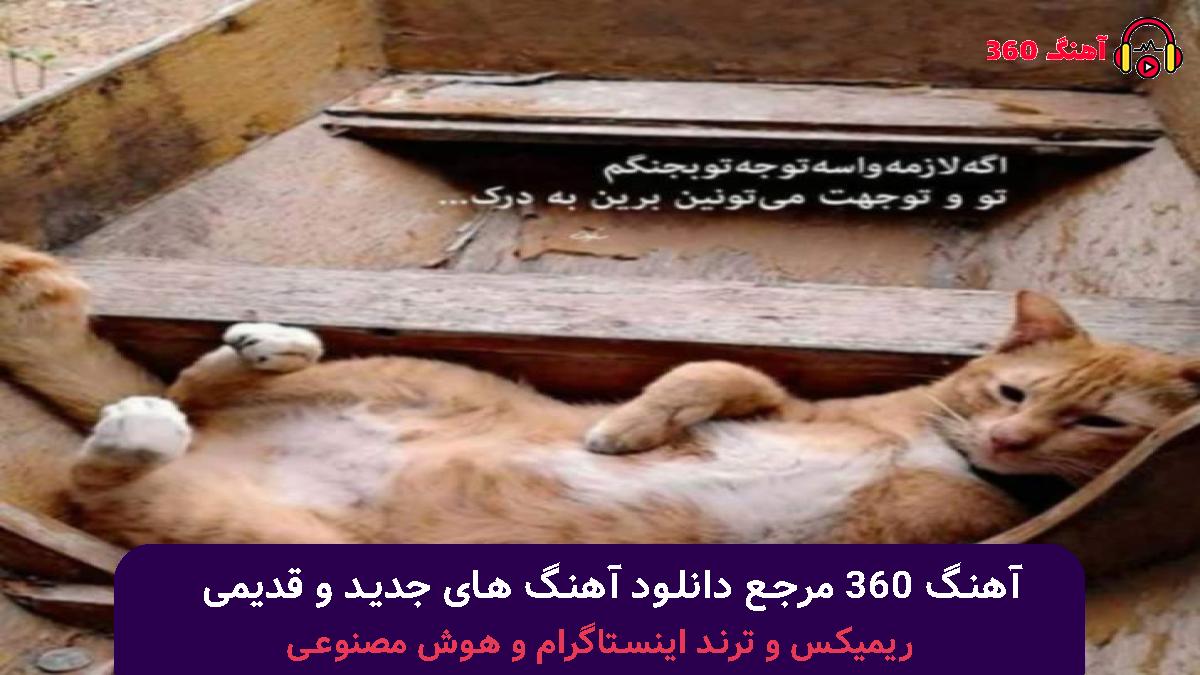 کاور آهنگ ﻳﻜﻰ از ﻫﻢ ﻛﻠﺎﺳﻰ ﻫﺎﻳﻢ را ﭘﻮﺷﻴﺪه ﺑﺎﺷﻢ با صدای محسن چاوشی